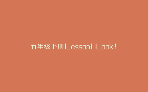 五年级下册Lesson1《Look!》的优秀教案