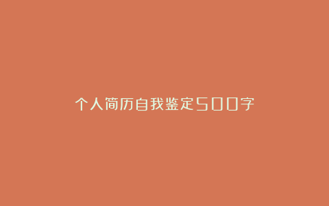 个人简历自我鉴定500字