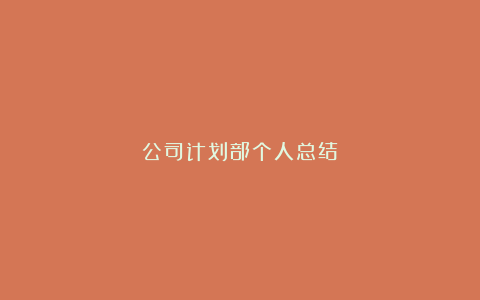 公司计划部个人总结