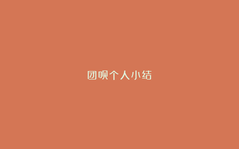 团员个人小结