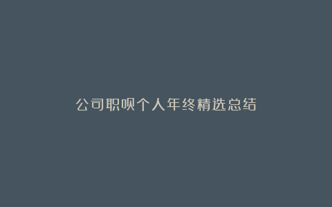 公司职员个人年终精选总结