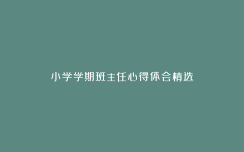 小学学期班主任心得体会精选