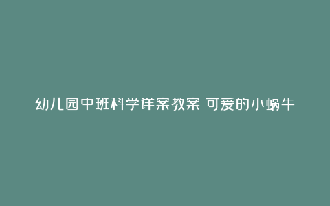 幼儿园中班科学详案教案《可爱的小蜗牛》含反思