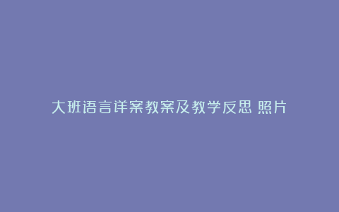 大班语言详案教案及教学反思《照片》