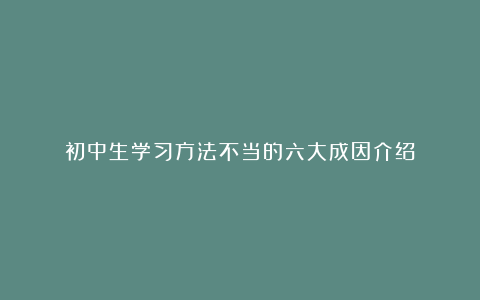 初中生学习方法不当的六大成因介绍