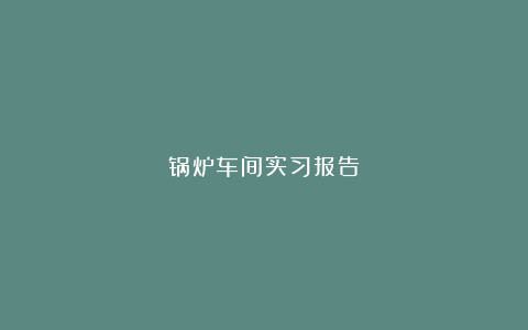 锅炉车间实习报告