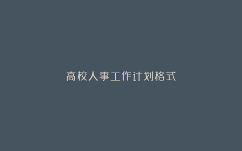 高校人事工作计划格式