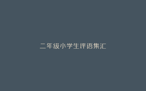 二年级小学生评语集汇