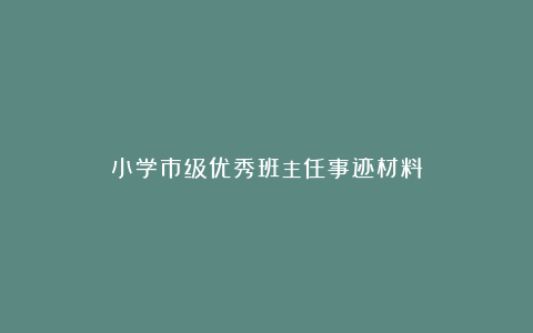 小学市级优秀班主任事迹材料