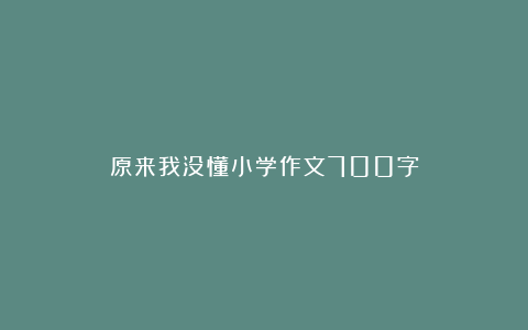 原来我没懂小学作文700字