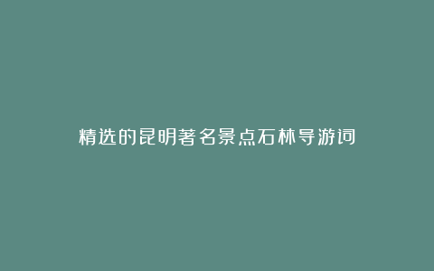 精选的昆明著名景点石林导游词