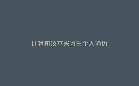 计算机技术实习生个人简历