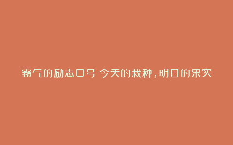 霸气的励志口号：今天的栽种，明日的果实！