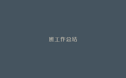 班工作总结