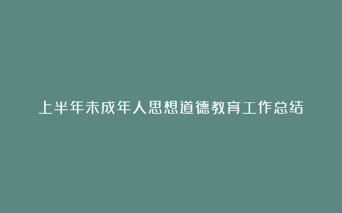 上半年未成年人思想道德教育工作总结