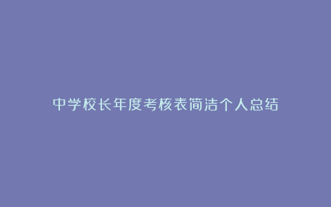 中学校长年度考核表简洁个人总结