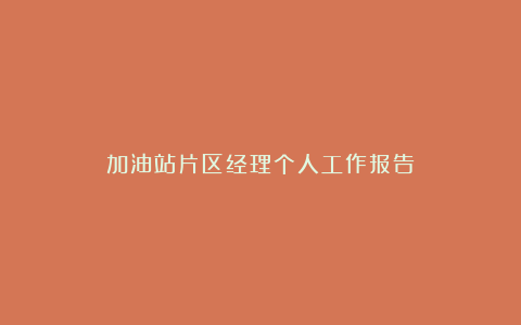 加油站片区经理个人工作报告