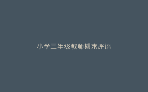 小学三年级教师期末评语