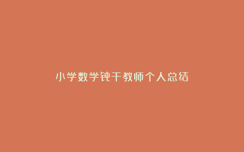 小学数学骨干教师个人总结