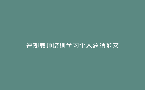 暑期教师培训学习个人总结范文