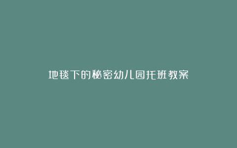 地毯下的秘密幼儿园托班教案