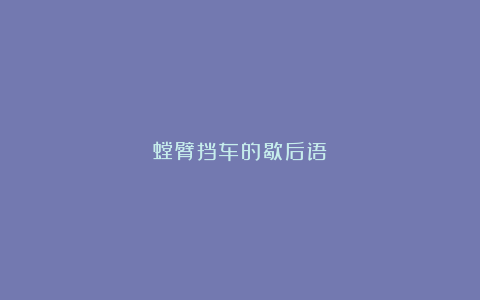 螳臂挡车的歇后语