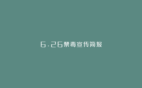 6.26禁毒宣传简报