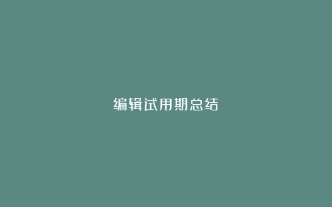 编辑试用期总结