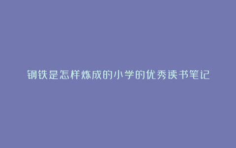 钢铁是怎样炼成的小学的优秀读书笔记