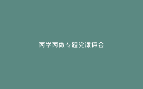 两学两做专题党课体会