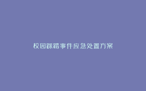 校园踩踏事件应急处置方案