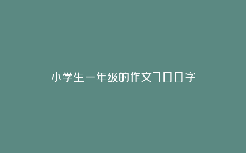 小学生一年级的作文700字