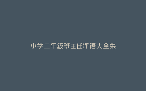 小学二年级班主任评语大全集