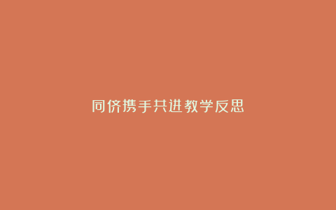 同侪携手共进教学反思