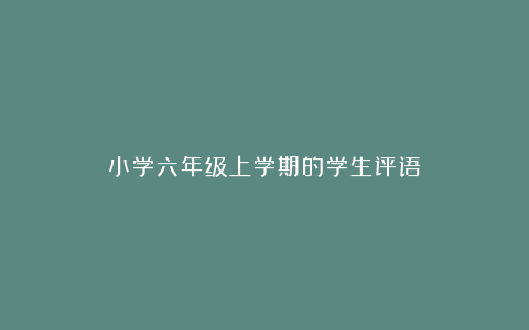 小学六年级上学期的学生评语