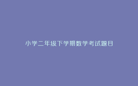 小学二年级下学期数学考试题目