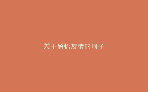 关于感悟友情的句子