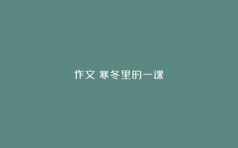 作文：寒冬里的一课