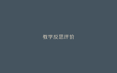 教学反思评价