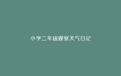 小学二年级观察天气日记