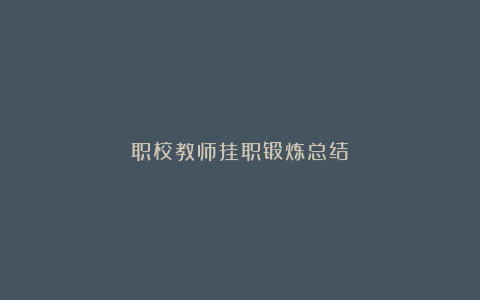 职校教师挂职锻炼总结