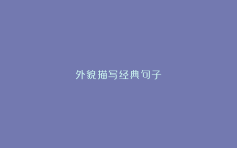 外貌描写经典句子