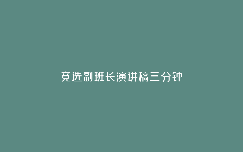 竞选副班长演讲稿三分钟