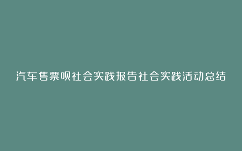 汽车售票员社会实践报告社会实践活动总结