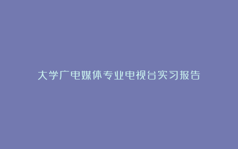 大学广电媒体专业电视台实习报告