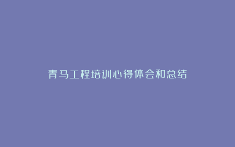 青马工程培训心得体会和总结