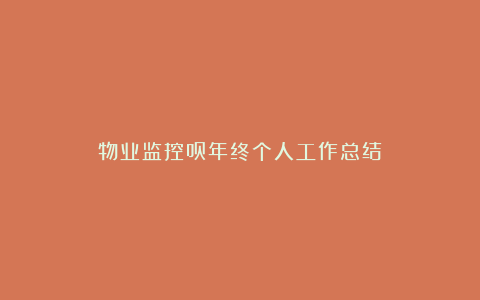 物业监控员年终个人工作总结