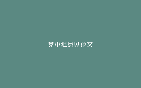 党小组意见范文