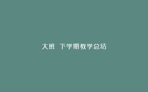 大班 下学期教学总结