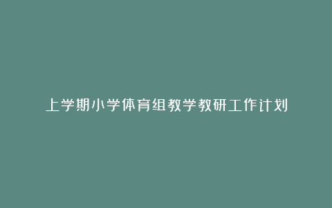 上学期小学体育组教学教研工作计划